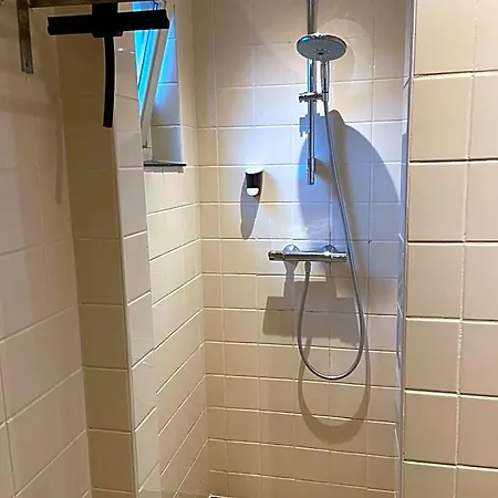De Lage Zwaluw